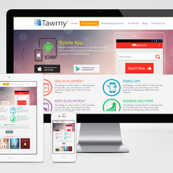 Tawrny v3.0 template design