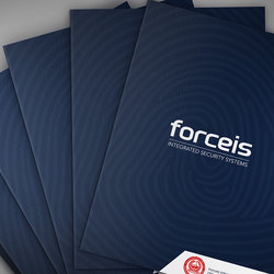 Forceis