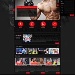 Peak GYM Website
