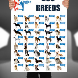 Pet Station Clinic 