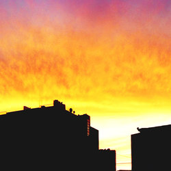 Sunset Photography 
