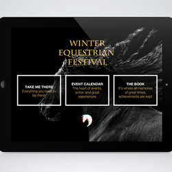 Winter Equestrian Festival 2015