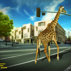 Animals cannot live in cities .. Save the woods