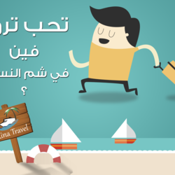 بوستات لصفحات مختلفة في حملات التسويق الالكتروني