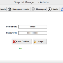 Snapchat Manager