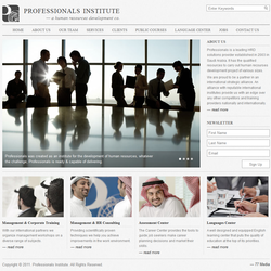 Professionals Institute