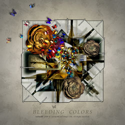 COLOR&amp;#039;S BLEEDING , card