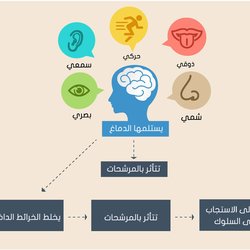 Droob Mooc Courses