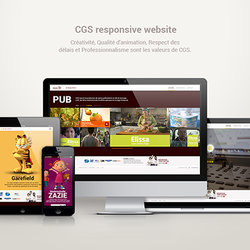 CGS responsive website