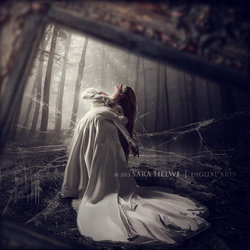 Photo manipulations II