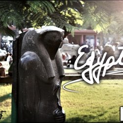 WTO - Egypt