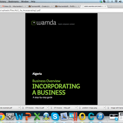 Wamda Business Reports
