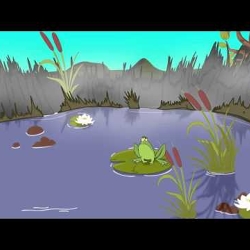test animation