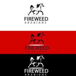 firewed