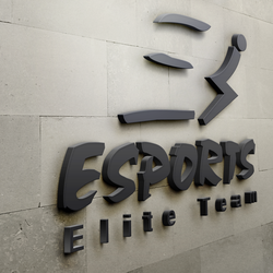 ES Sports