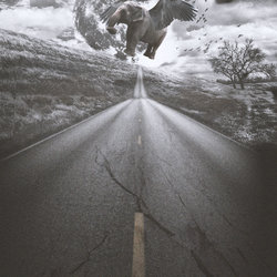 I Can Fly
