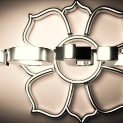lotus consultancy 