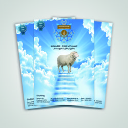 3ataa foundation flyer