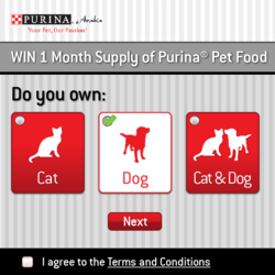 Purina Microsite &amp;amp; App - Responsive Design