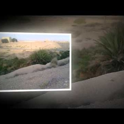 MONTAGES