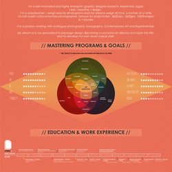 Infografic CV