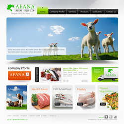 Afana Web site 