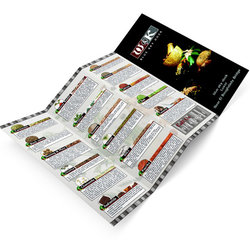 BLUE SKY DOCK logo and brochure