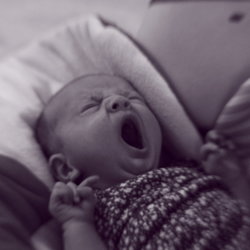 Photography - Child Portriature