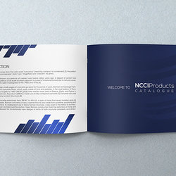 Catalogue concept development for NCCI company