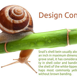 Snail Kiosk