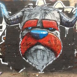 Graffiti / Street art / Murals 