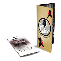 Ninjutsu dojo brochure design