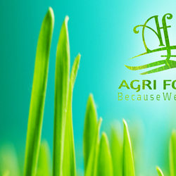 Agri folk idenitity 