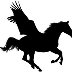 vector