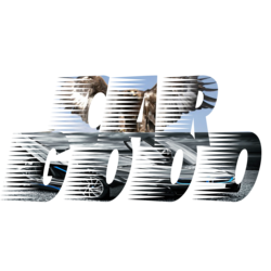logo gooo