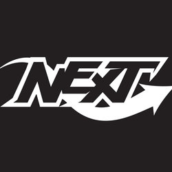 Next Logo/Rough Animation Tests
