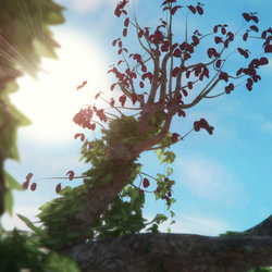 Magical Tree