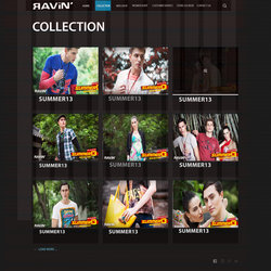 Ui - ravin web site