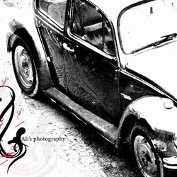 volks wagen