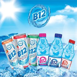 B12 - Poster