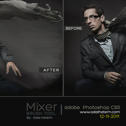 Mixer Brush  | Photoshop 