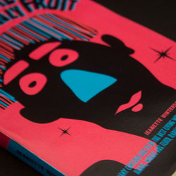 Oranges are not the only fruit - book cover