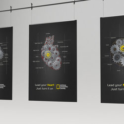 MY GRADUATION PROJECT