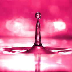 Macro