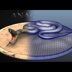 Demo Reel