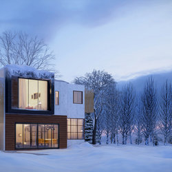 Winter_fall