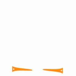 Animation 