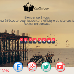 OUDHAI-ART WEB SITE DESIGN *DEMO*