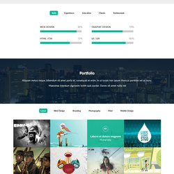 portfolio
