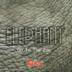 2 - The Zoo Poster